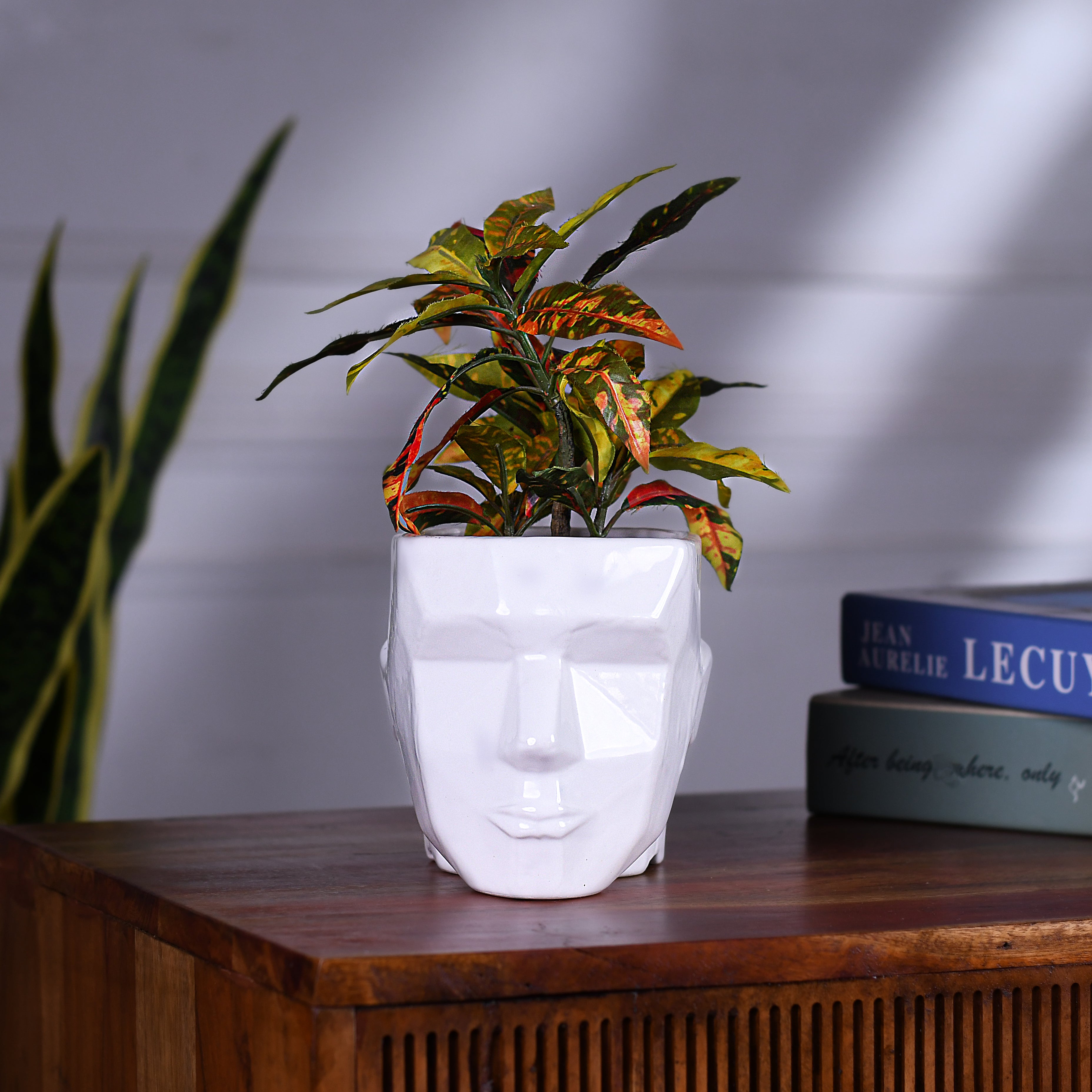 Man Face Planter