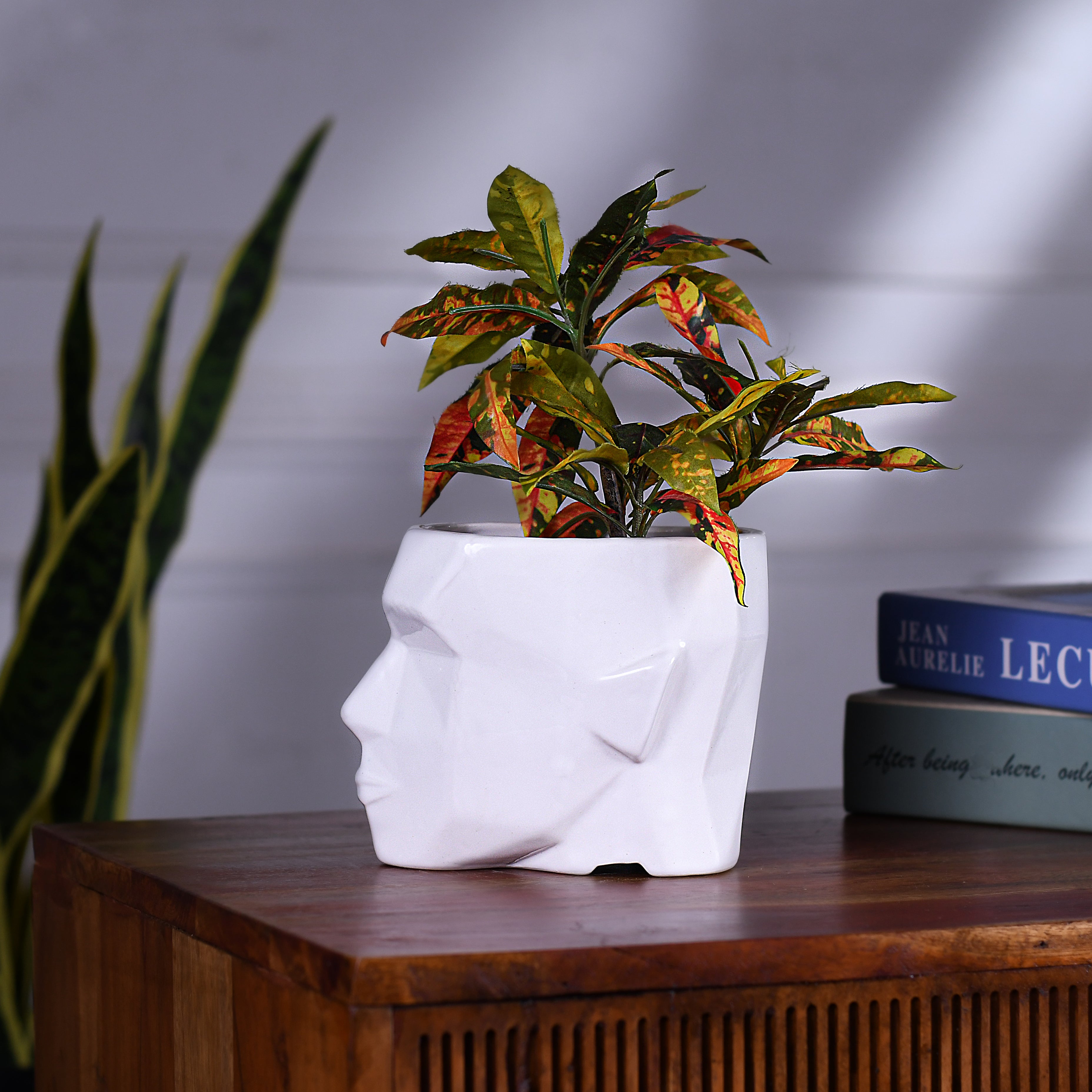 Man Face Planter