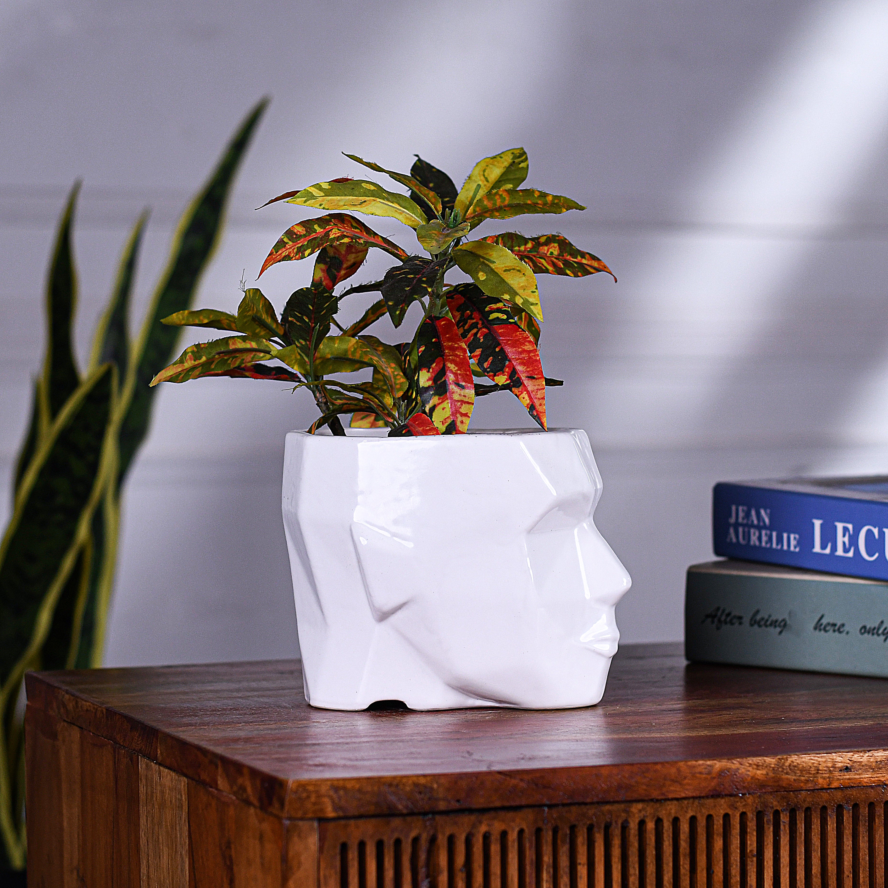 Man Face Planter