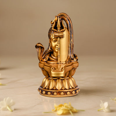 Shiv-Lingam idol