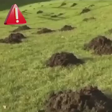 Mole Repeller, Solar Powered Animal Scarer Repellent for Garden