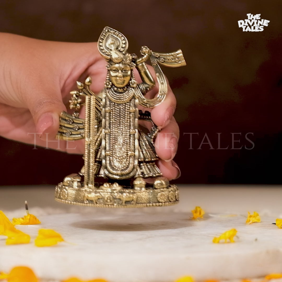 Brass Shrinathji Idol